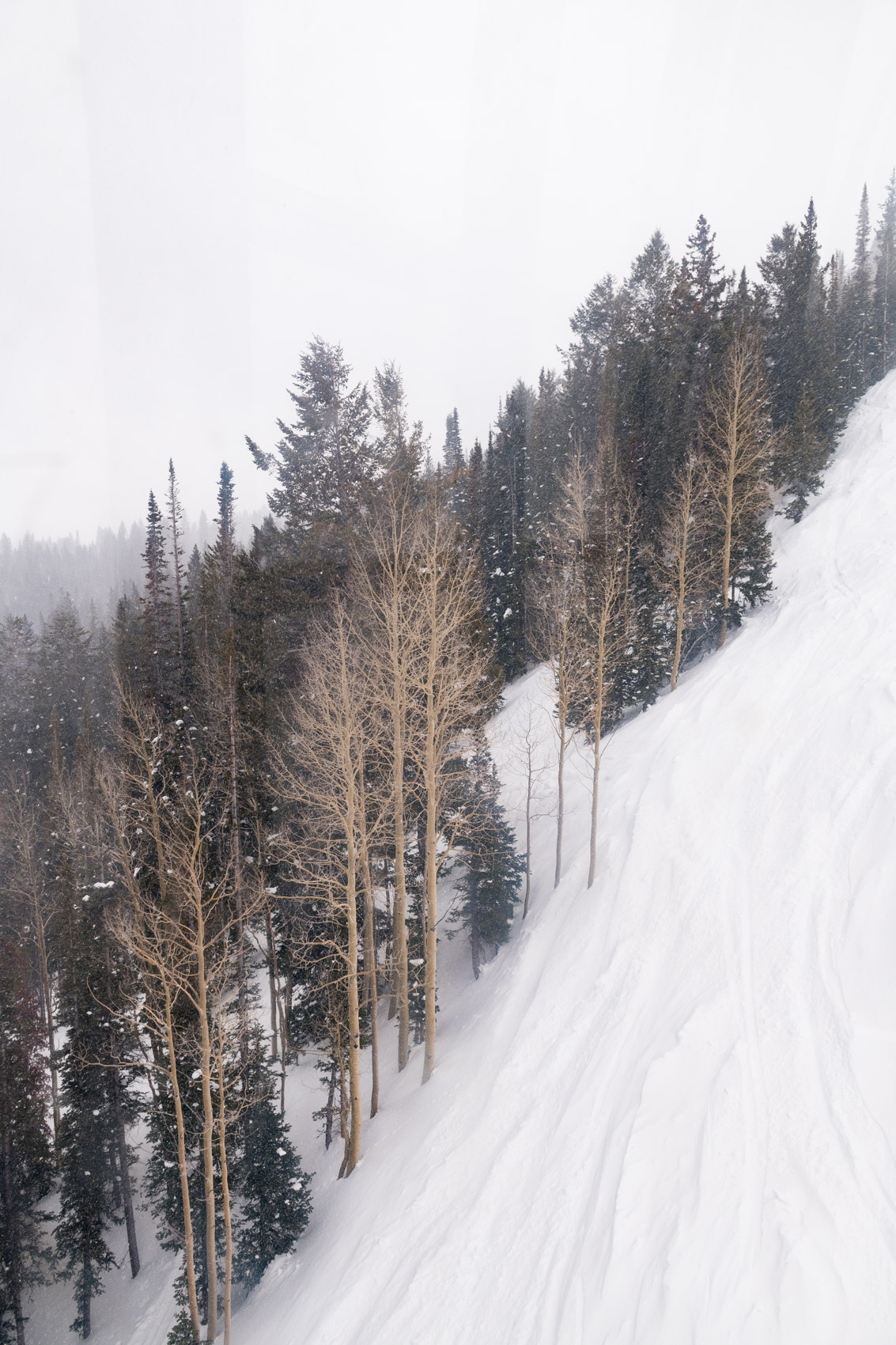 NYC + Chicago Lifestyle Photographer - Aspen Colorado