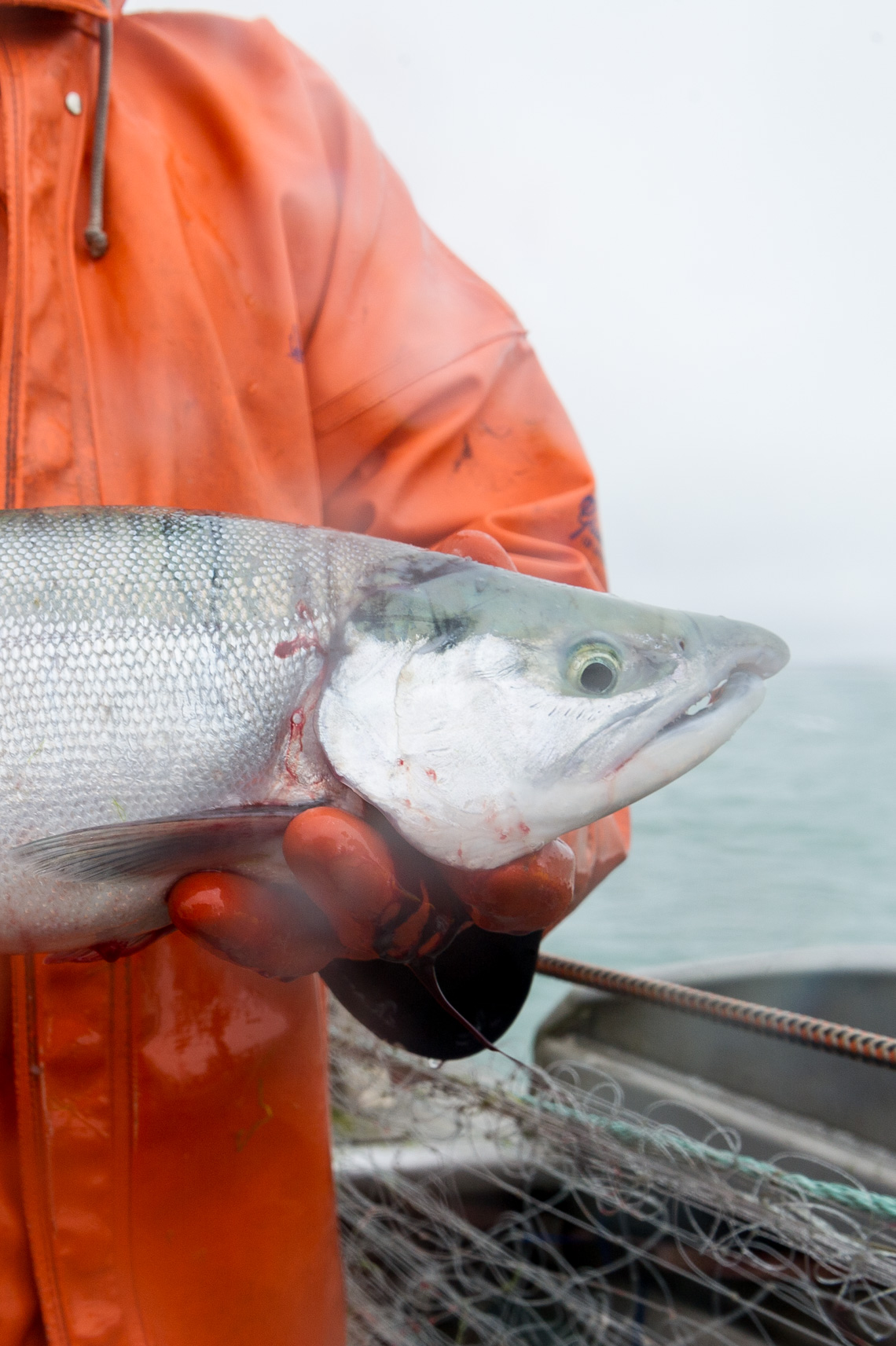 NYC + Chicago Travel Food Photographer - Alaska Salmon Fishing