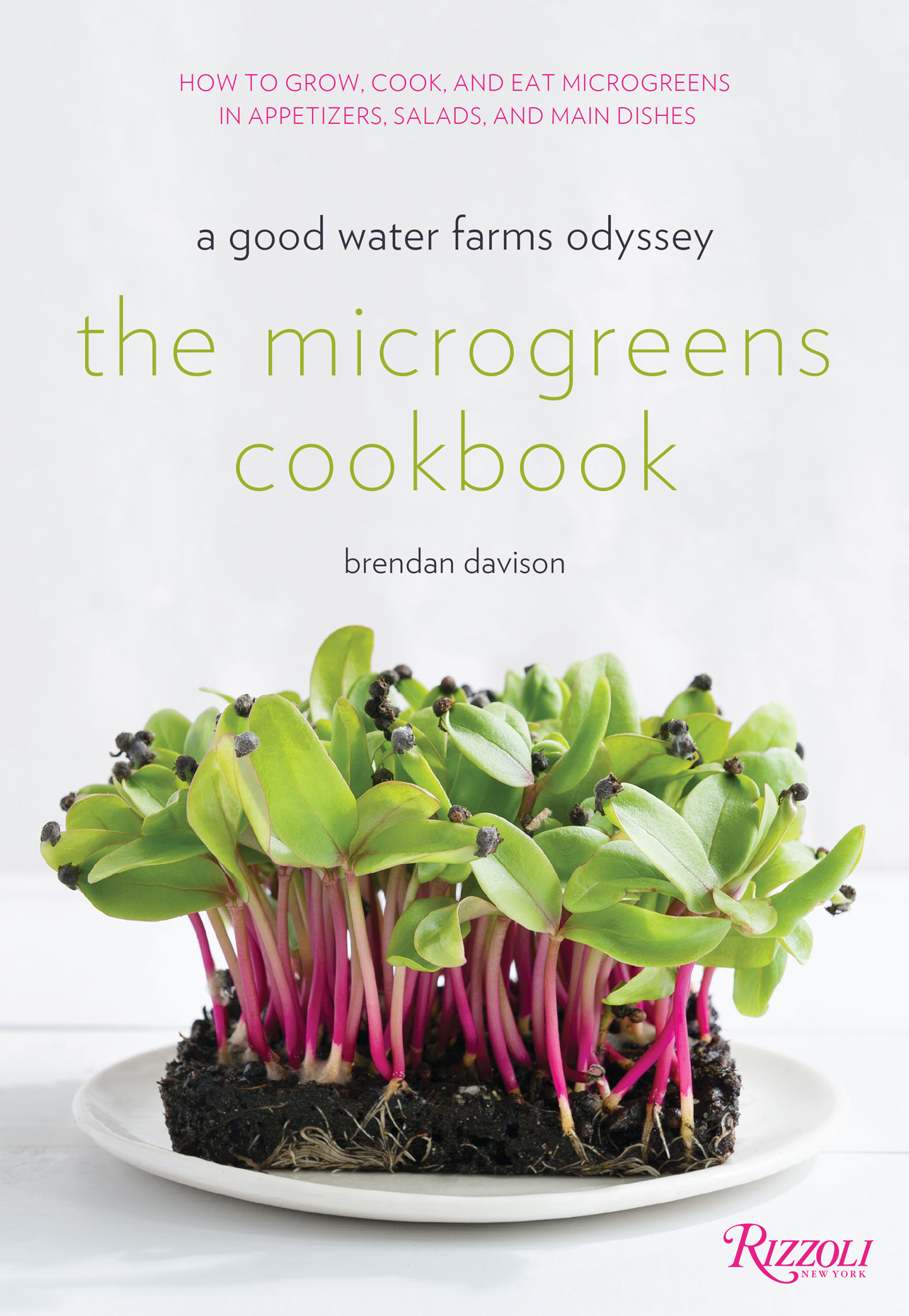 New York City Food Photographer - Cookbook Photographer