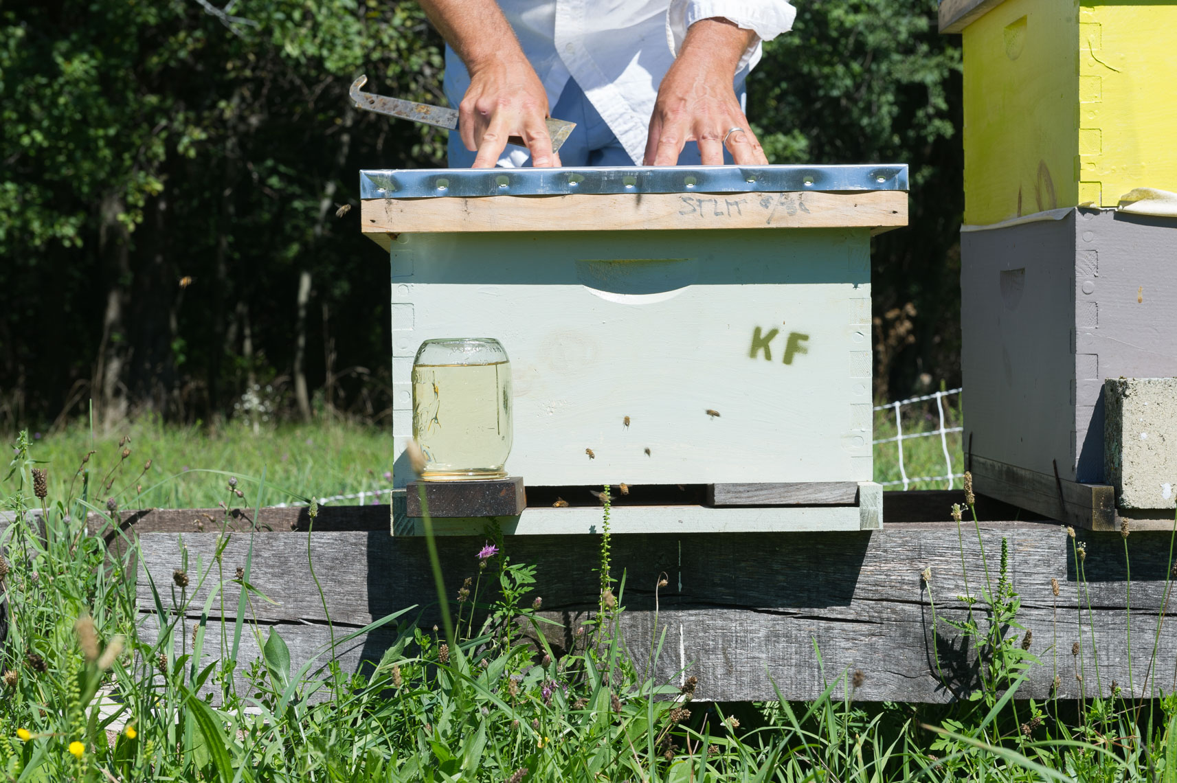 NYC Farm Photographer- beekeeper upstate ny