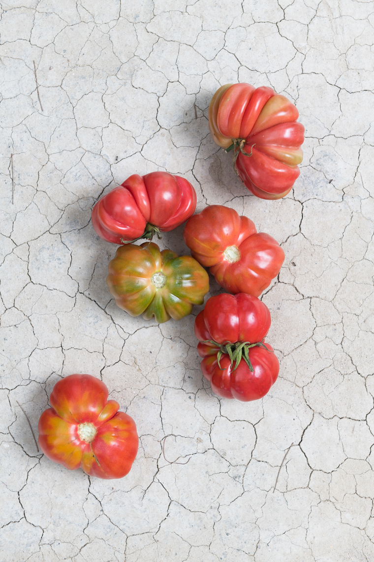 Chicago Travel and Lifestyle Photographer - Heirloom Tomatoes on Clay